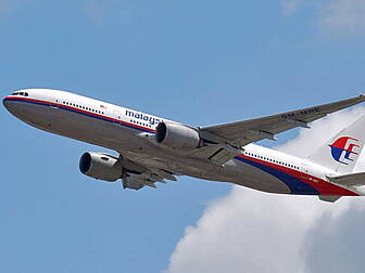 Investigation into part of pla...